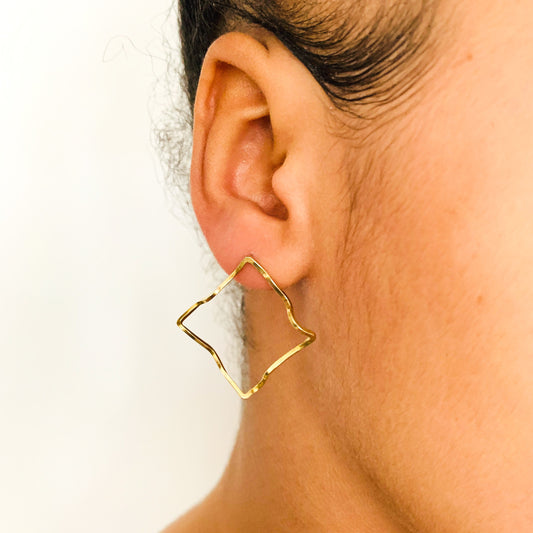 Tai L Earrings